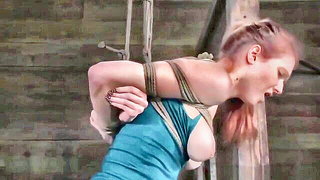 Solo performer with a toy on rumpled bedsheets