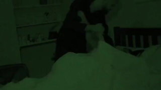 Pair of performers in motion on a wide bed
