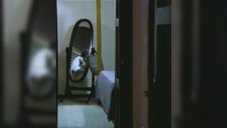 Close frame of an explicit scene in sharp indoor light
