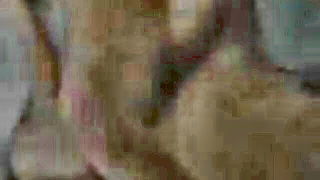 Couple on a patterned bedspread in an explicit scene