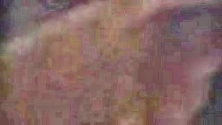 Couple on a made bed in an explicit scene