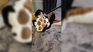 Explicit doggy style scene on a wide bed