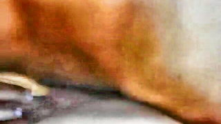 Solo performer with a toy on rumpled bedsheets