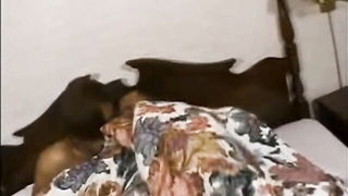 Solo performer with a toy on rumpled bedsheets