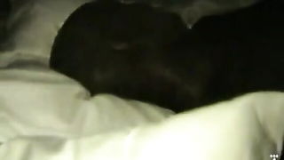 Explicit doggy style scene on a wide bed